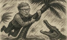 300kmh winds, metres of rain and … crocodiles