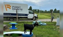 First Onsite backs animal rescue with $10,000 matching donation