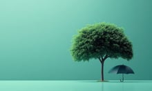 Environmental insurance