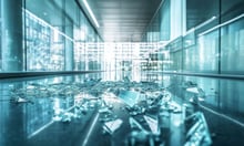 'Enough is enough', downtown Moncton businesses declare over alarming rise in crime