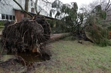 Insurers handle influx of claims after October weather events