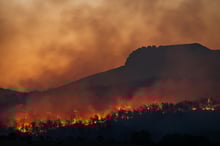 NSW rolls out new initiatives as bushfire season begins