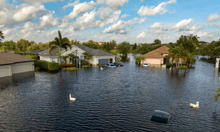 Climate risks, tariffs and AI pressuring property claims: Sedgwick