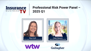 How can brokers approach professional risks?