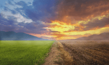 AXA to assess climate-related risks of pharmaceutical giant